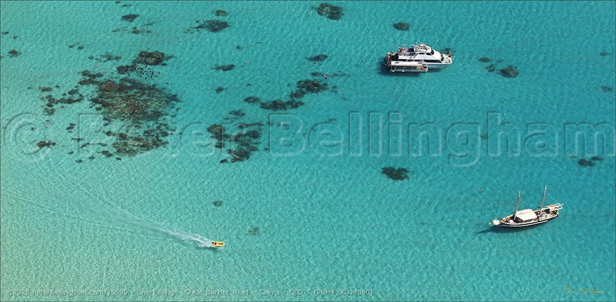 Peter Bellingham Photography Snorkelling - Great Barrier Reef - Cairns - QLD T (PBH4 00 14880)